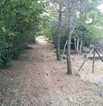 Foto annuncio 2