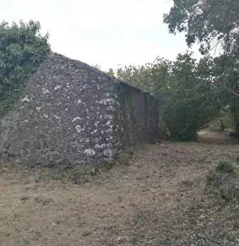 Foto annuncio 4