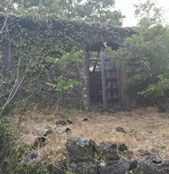 Foto annuncio 6