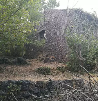 Foto annuncio 7
