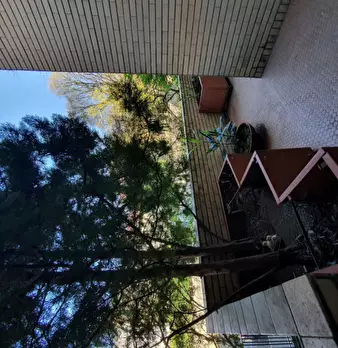 Foto annuncio 23