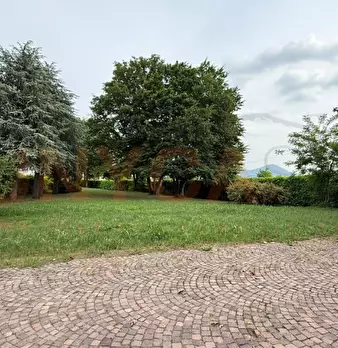 Foto annuncio 30