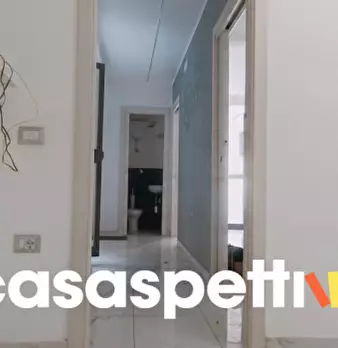 Foto annuncio 11