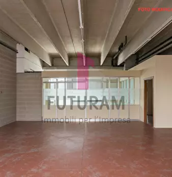Foto annuncio 11