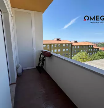 Foto annuncio 9