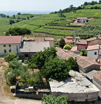 Foto annuncio 10