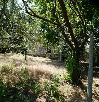 Foto annuncio 12