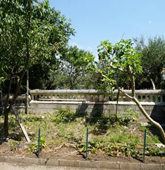 Foto annuncio 20