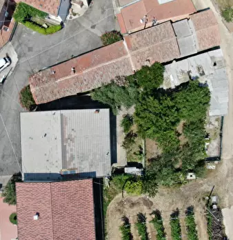 Foto annuncio 22