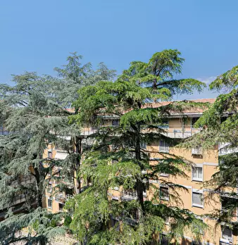 Foto annuncio 32