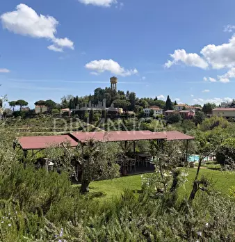 Foto annuncio 23