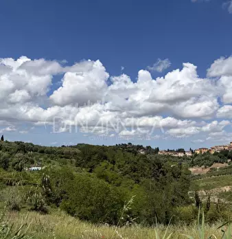 Foto annuncio 52
