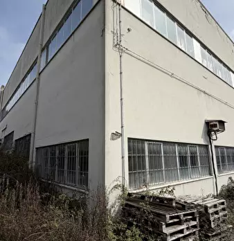 Foto annuncio 9