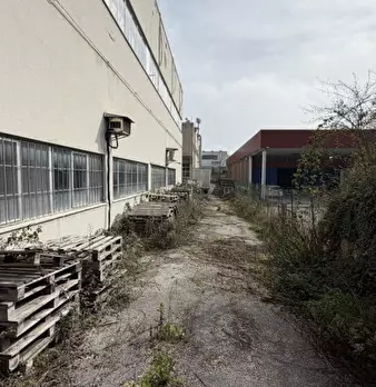 Foto annuncio 11