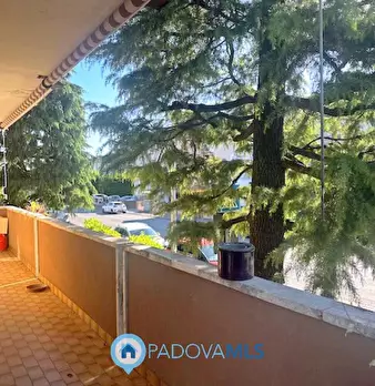 Foto annuncio 24