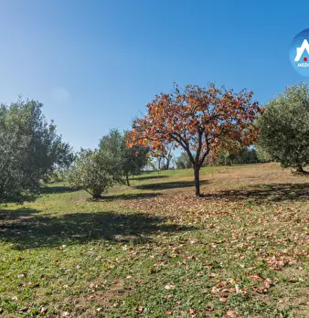 Foto annuncio 29