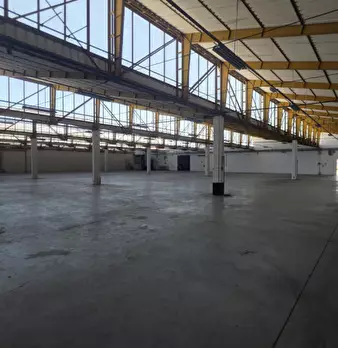 Foto annuncio 11