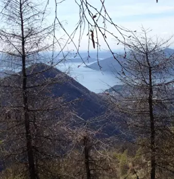 Foto annuncio 17