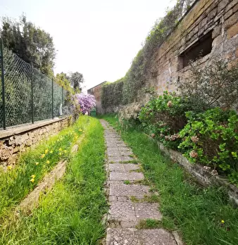 Foto annuncio 6