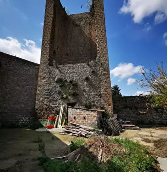 Foto annuncio 8
