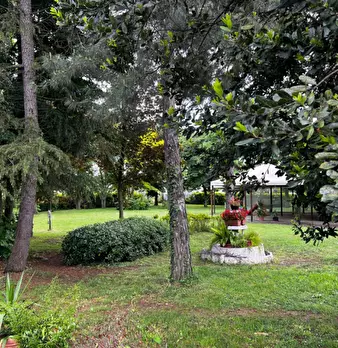 Foto annuncio 6