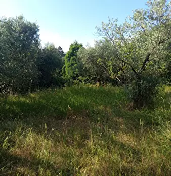 Foto annuncio 4