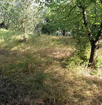 Foto annuncio 5