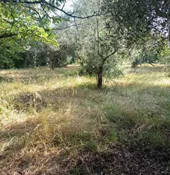 Foto annuncio 6