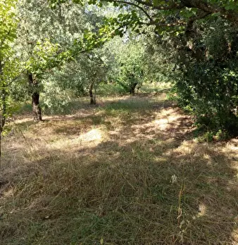 Foto annuncio 10