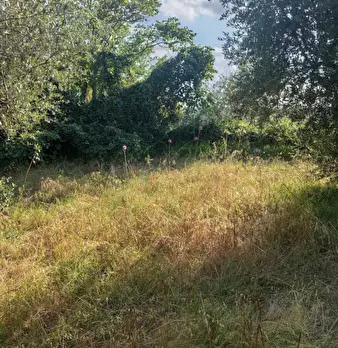 Foto annuncio 12
