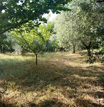 Foto annuncio 13