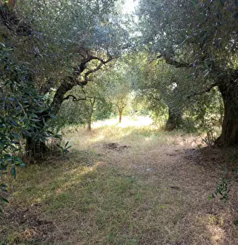 Foto annuncio 15