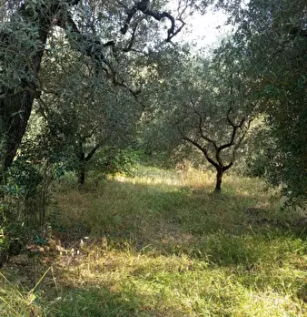Foto annuncio 16