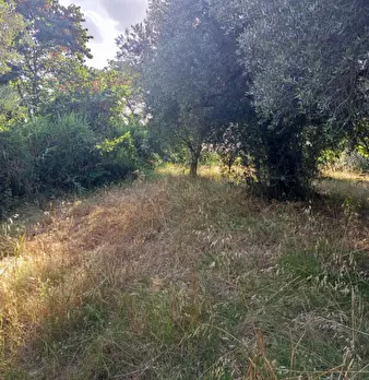 Foto annuncio 17