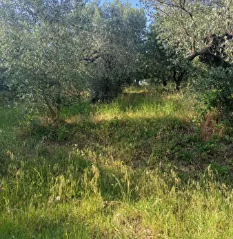 Foto annuncio 18