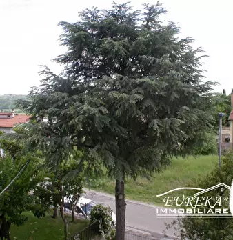 Foto annuncio 18