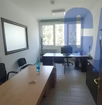 Foto annuncio 12