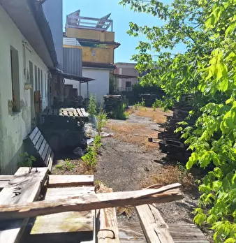 Foto annuncio 22