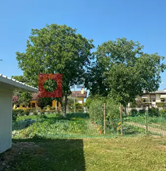 Foto annuncio 25