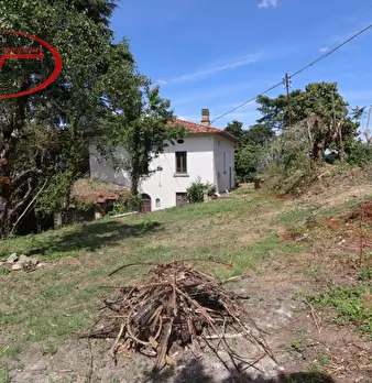 Foto annuncio 7