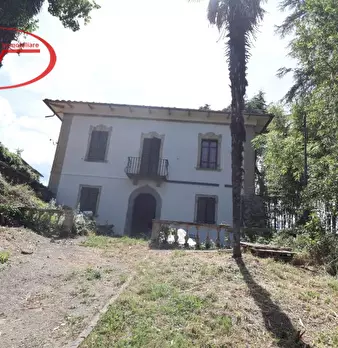 Foto annuncio 9