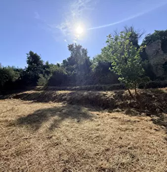 Foto annuncio 17