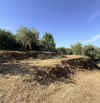 Foto annuncio 19