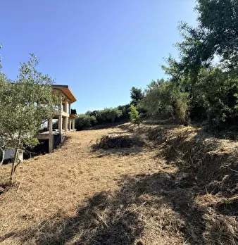 Foto annuncio 20