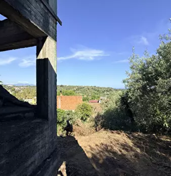 Foto annuncio 21