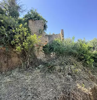 Foto annuncio 28