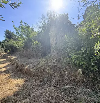 Foto annuncio 29