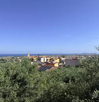 Foto annuncio 33