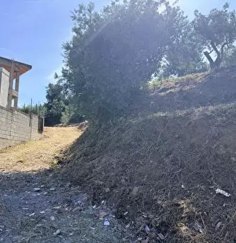 Foto annuncio 36