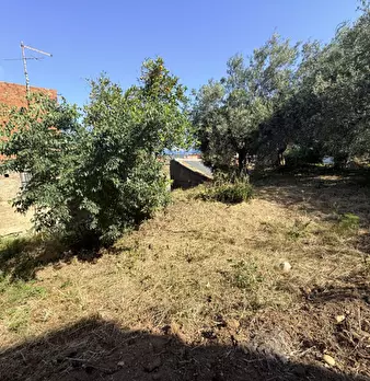Foto annuncio 39